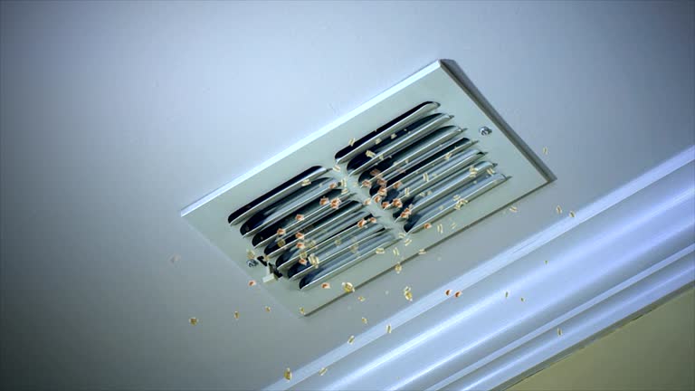 Best Duct Cleaning Specialists  in Georgetown, GA