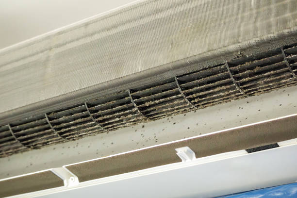 Best Air Duct Mold Removal  in Georgetown, GA